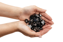 Load image into Gallery viewer, Shungite Elite Noble stones for Water (choose weight 40 gr. - 10 kg.) Elite Shungite Karelian Masters
